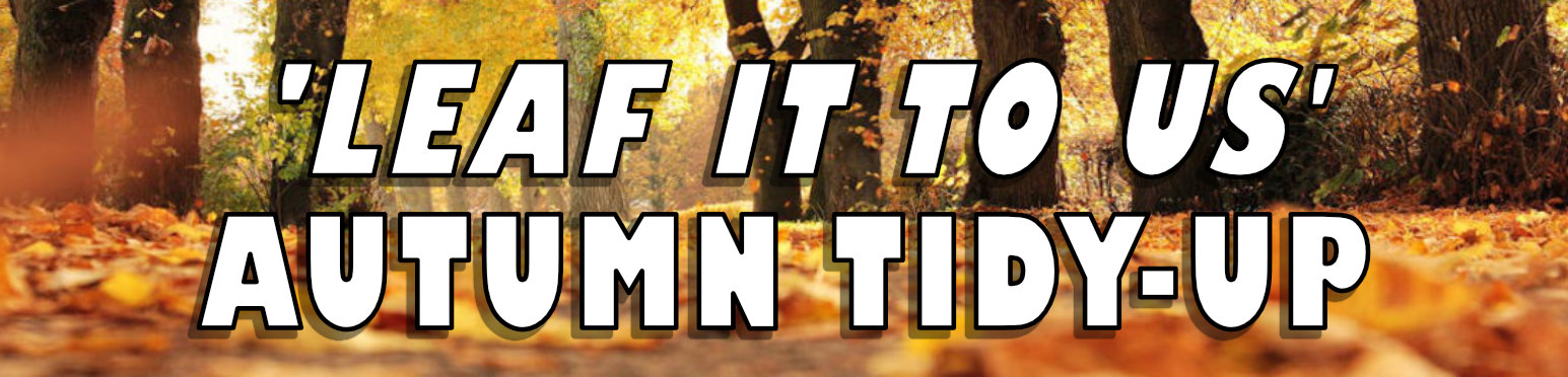 Leaf it to us - Autumn Tidy-up